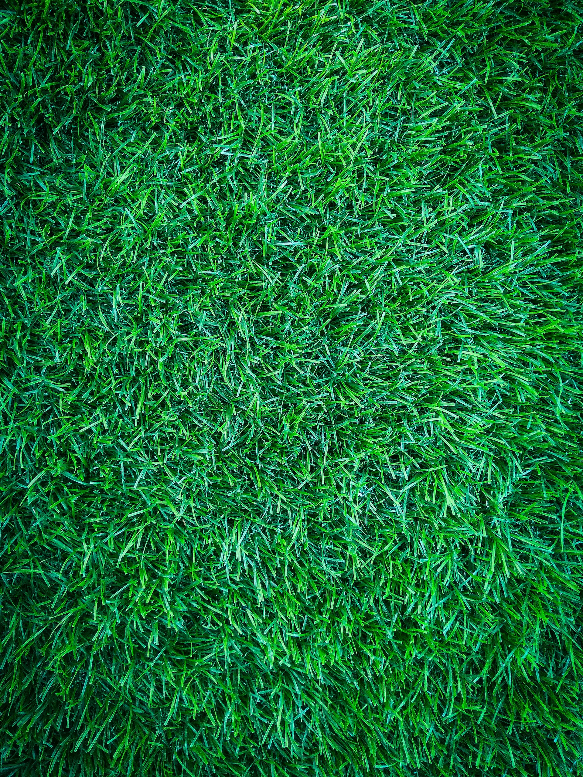 LawnSmartPro lawn care